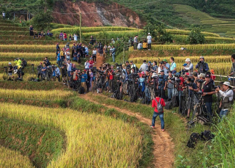 Büyük bir fotoğrafçı gurubu Mu Cang Chai’de tripodları ile fotoğraf çekmek için konuşlanıyorlar. (Fotoğraf: Mike Pollock)